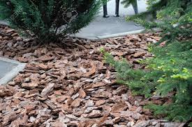 Pine Bark Medium 25MM - 10 Cubic Meters
