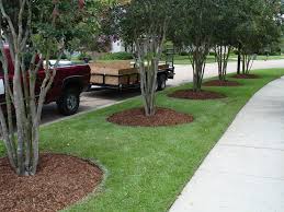 Bark Mulch - 6 Cubic Meters