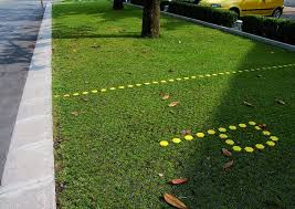 BodPave Gravel/Grass Stabilization Paver - 10 Square Meter Pallet