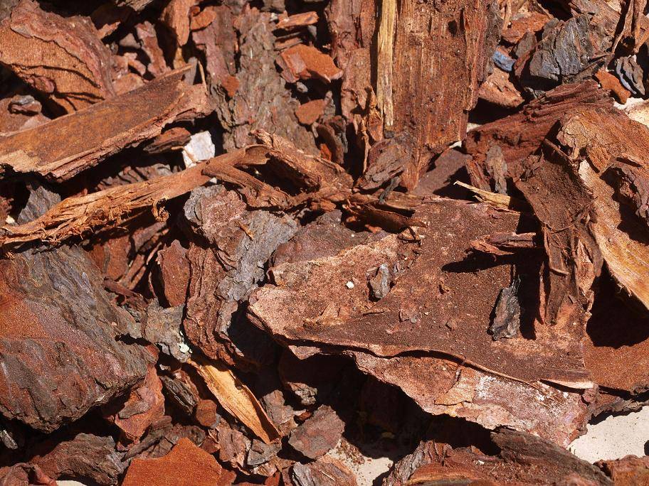 Pine Bark Large 50MM - 20 Cubic Meters