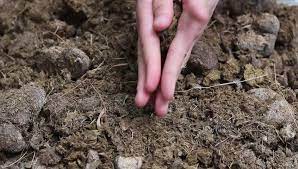 Kraal Manure Compost - 10 Cubic Meter