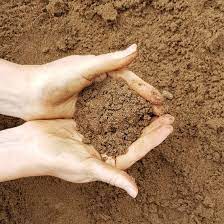 Screened Top Soil - 10 Cubic Meters
