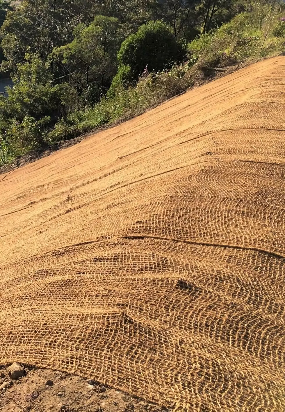 Jute SoilLock™ Soil Blanket – 1.22m x 100m (122m² Jumbo Roll) | 292 GSM Biodegradable Erosion Control